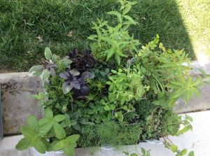 10176081_712783998765012_7544900709347944881_n