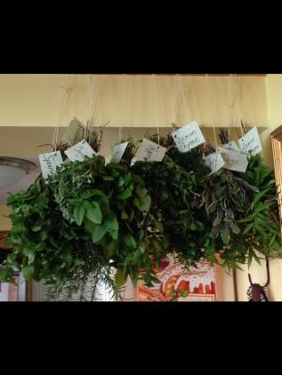 10418871_782807638429314_3578062147964485778_n