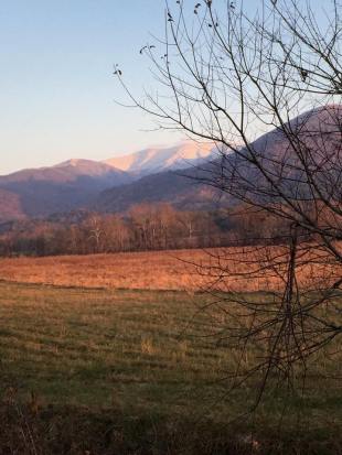 10269412_805221526187925_6752357479885938908_n