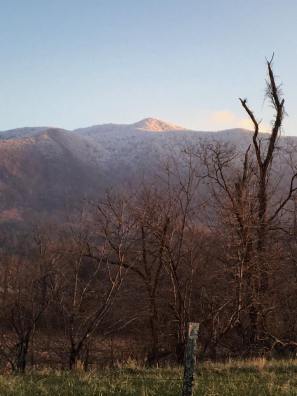 10389174_805221459521265_2366643676997523901_n