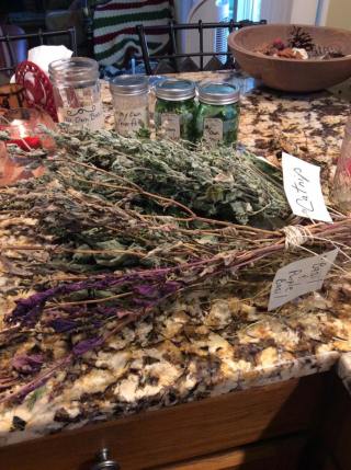 14650451_1200531576656916_671879679626344292_n