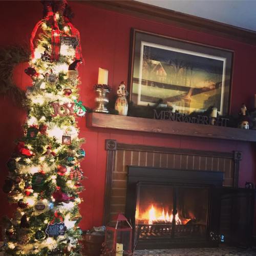 15391047_1266783343365072_3325135559657479964_n