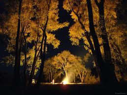 autumn fire